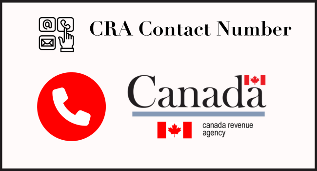 CRA Contact Number: How can I Contact CRA by Phone? All You Need to Know
