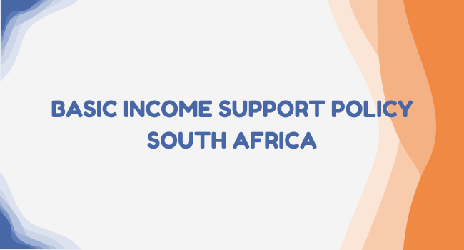 Basic Income Support Policy South Africa