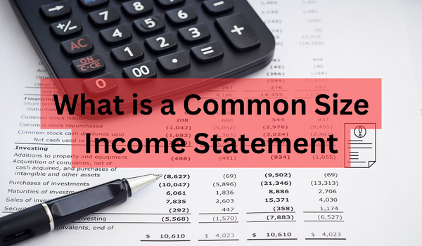 Common Size Income Statement