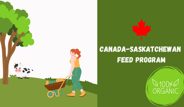 Canada-Saskatchewan Feed Program